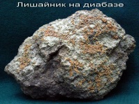 5_m