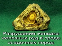 2_m