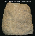13_m