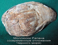 12_m