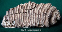9_m