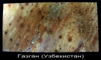 14_m