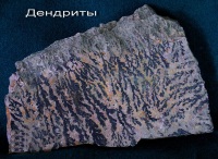 11_m